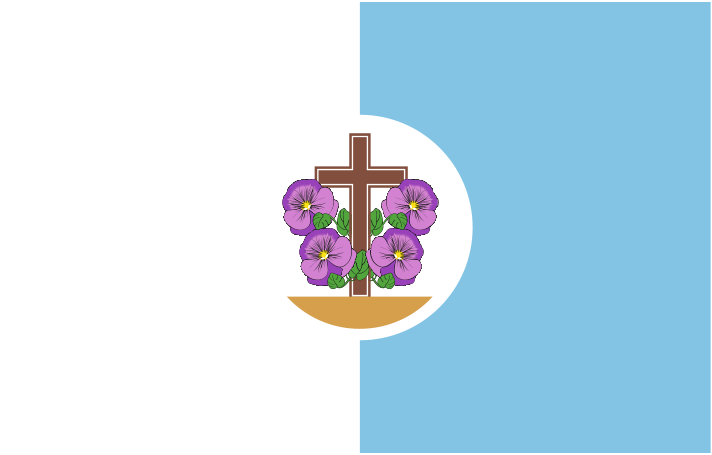 Bandera de Empedrado